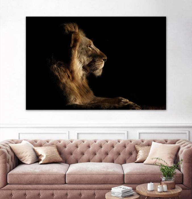 \"Royal Meeting In The Night\" Giant Art 84x54 Wall Art