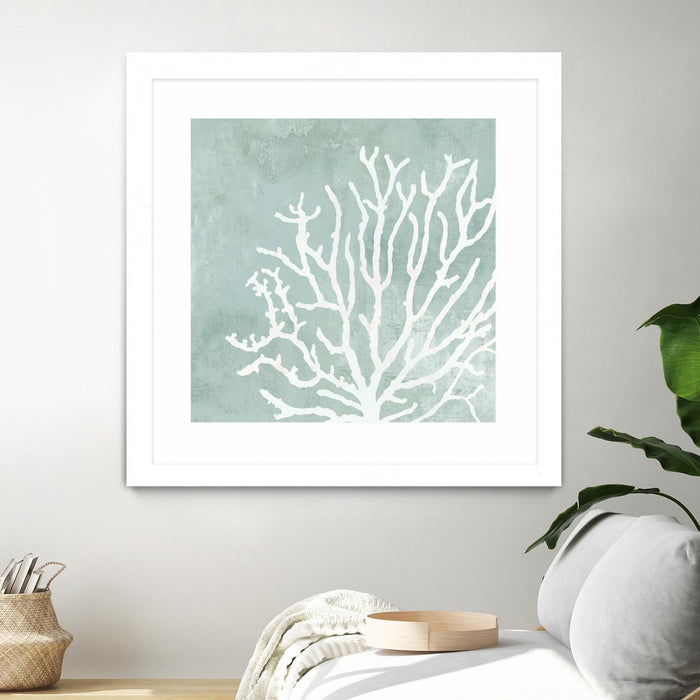 \"Sea Crown Ii\" Matted and Framed White 36x36 Wall Art