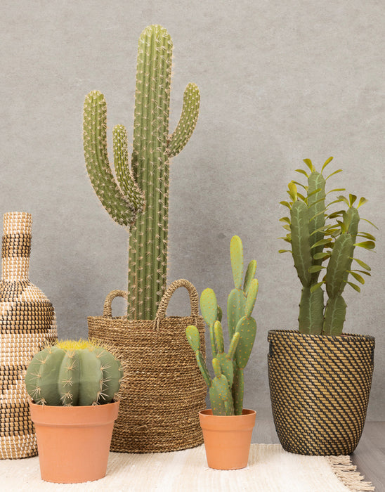 Artificial 26\" Mexican Cactus In Terracotta Pot