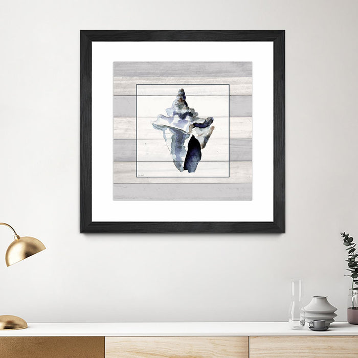 \"Muted Blue Sea Conch On Wood\" Matted and Framed Black 30x30 Wall Art