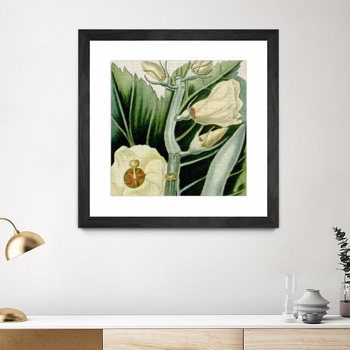 \"Cropped Turpin Tropicals Iii\" Matted and Framed Black 30x30 Wall Art