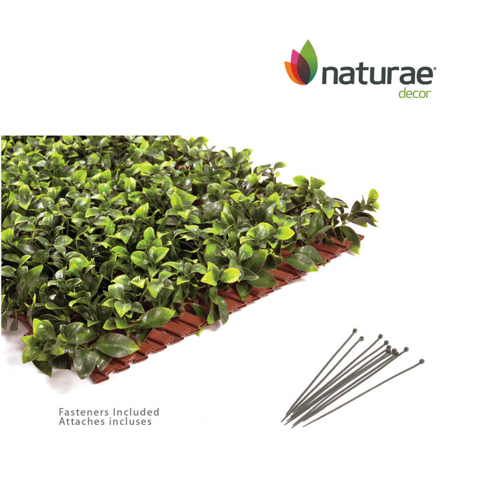PVC Expandable Trellis 36\"x 72\" Gardenia Leaves