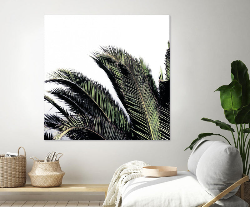 \"Cape Storm\" Giant Art 54x54 Wall Art