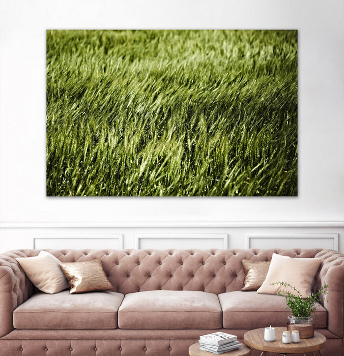 \"Grass Ii\" Giant Art 84x54 Wall Art
