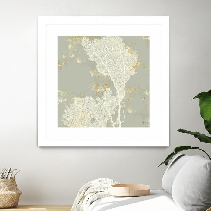 \"Sea Coral Ii\" Matted and Framed White 36x36 Wall Art