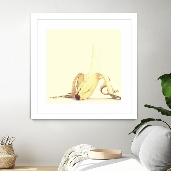\"Banada Honey Puff\" Matted and Framed White 36x36 Wall Art