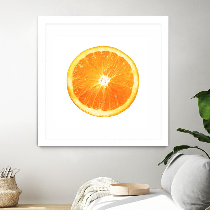 \"Citrus Cultivar\" Matted and Framed White 36x36 Wall Art