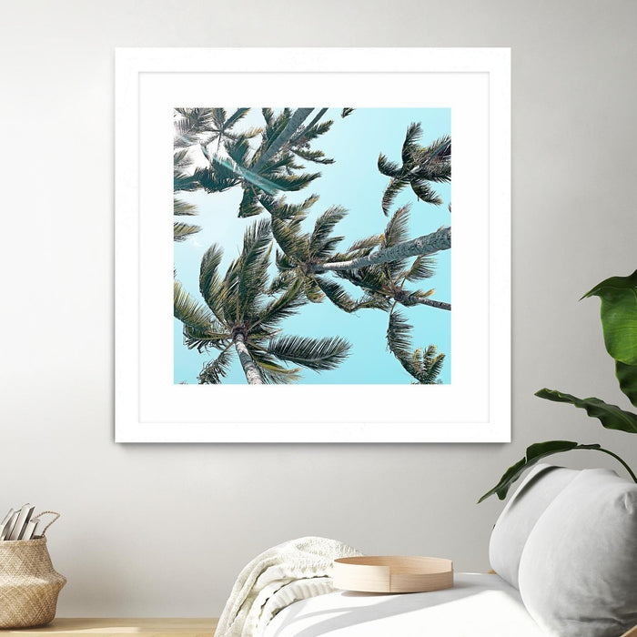 \"Palm 03\" Matted and Framed White 36x36 Wall Art