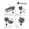 Artificial 27" Fiddle Leaf In Black Pot 
