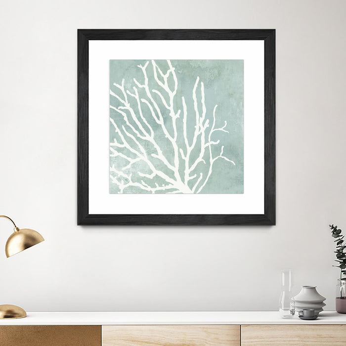 \"Sea Crown I\" Matted and Framed Black 36x36 Wall Art