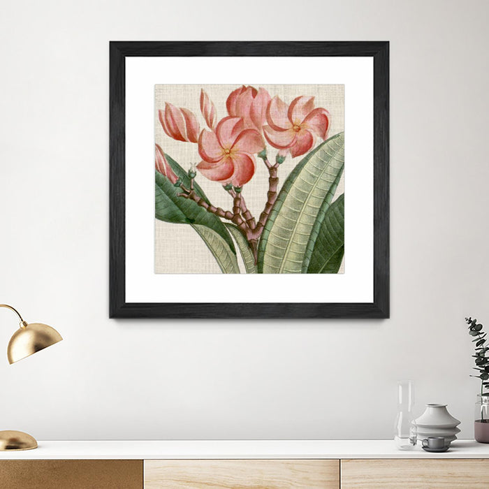 \"Cropped Turpin Tropicals Vii\" Matted and Framed Black 36x36 Wall Art
