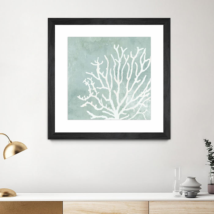 \"Sea Crown Ii\" Matted and Framed Black 30x30 Wall Art