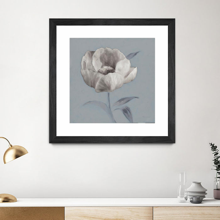 \"Floral Symposium I\" Matted and Framed Black 30x30 Wall Art