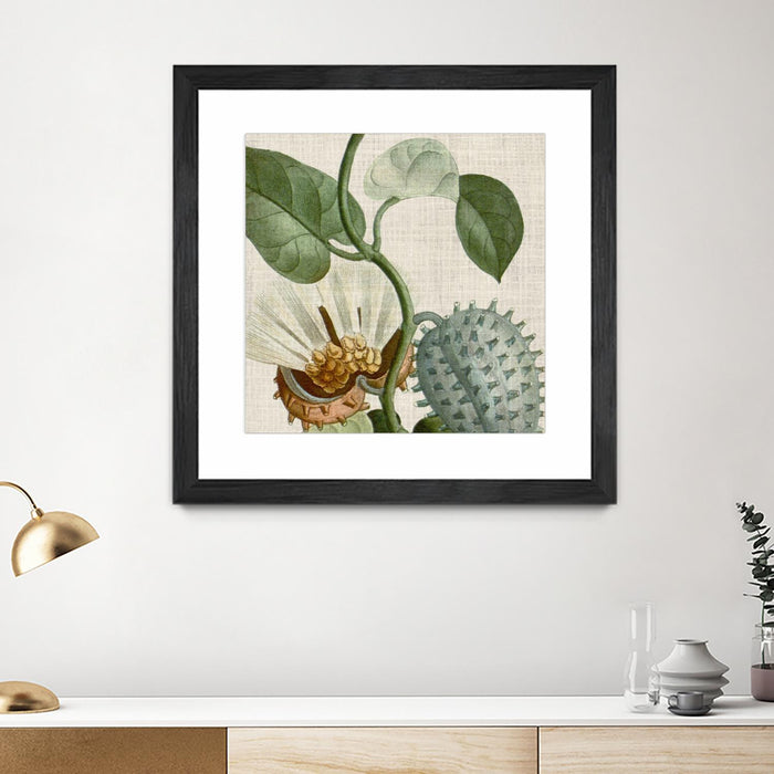 \"Cropped Turpin Tropicals Ii\" Matted and Framed Black 36x36 Wall Art