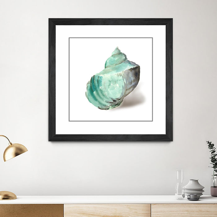 \"Shell In Mint\" Matted and Framed Black 30x30 Wall Art