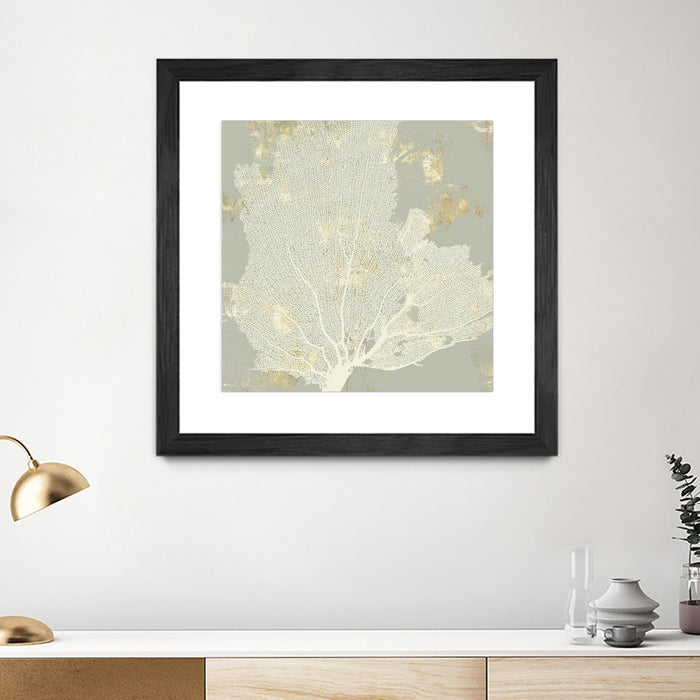 \"Sea Coral I\" Matted and Framed Black 30x30 Wall Art