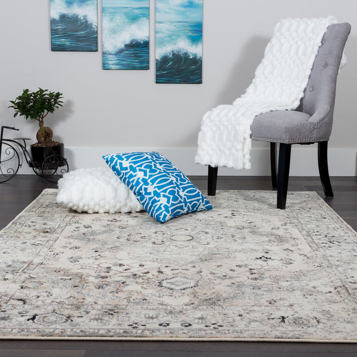 Far Grey 3x5 Area Rug