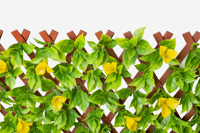 PVC Expandable Trellis 36"x 72" Yellow Clematis Leaves The Brick
