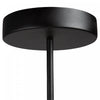 Equinox 40 W LED Black Pendant Light 