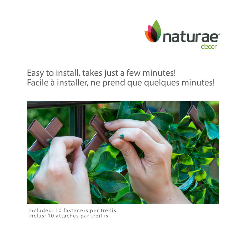 PVC Expandable Trellis 36"x 72" Gardenia Leaves The Brick