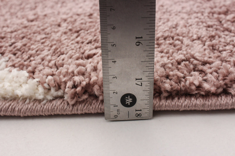 Luci Pink Shag 3'11\" x 6'0\" Area Rug