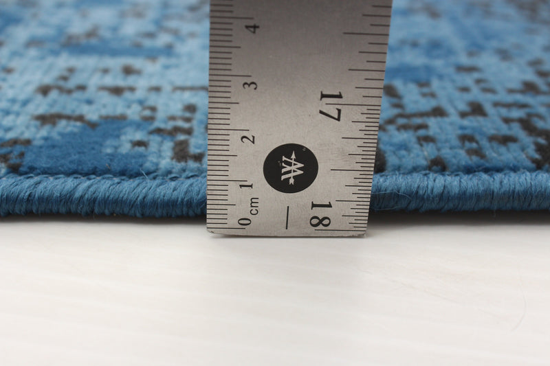 Janaki Blue 6'7\" x 9'6\" Area Rug