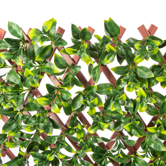 PVC Expandable Trellis 36\"x 72\" Gardenia Leaves