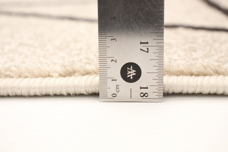 Anandi Ivory-Brown Area Rug - 3'11\" x 5'7\"