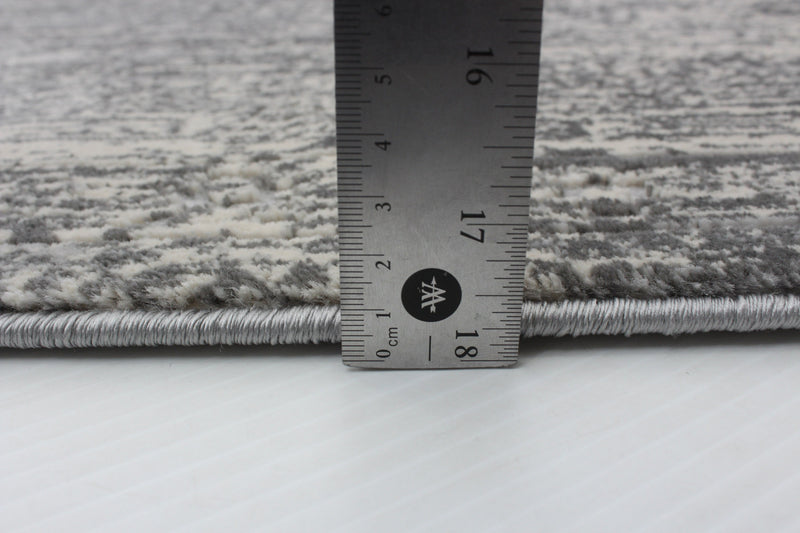 Dayna Grey Rug 3'11\" X 5'11\" Area Rug