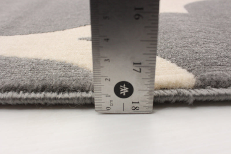 Aliya Grey 5'3\" x 7'7\" Area Rug