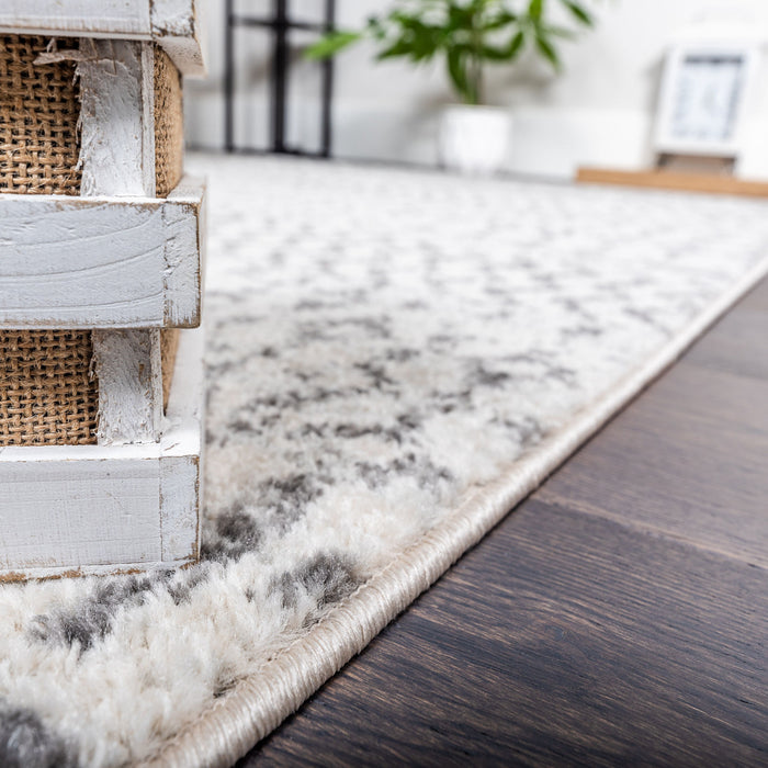 Roma Safi Grey 4x6 Area Rug