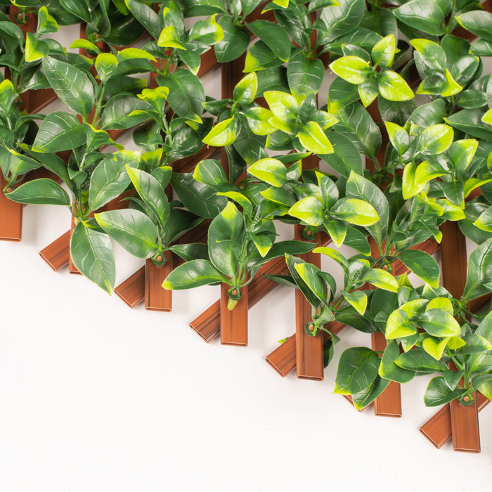 PVC Expandable Trellis 36\"x 72\" Gardenia Leaves