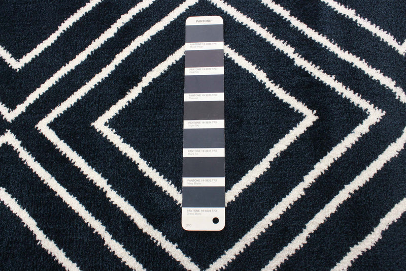 August Geod Navy-White 7'10\" x 10'2\" Area Rug