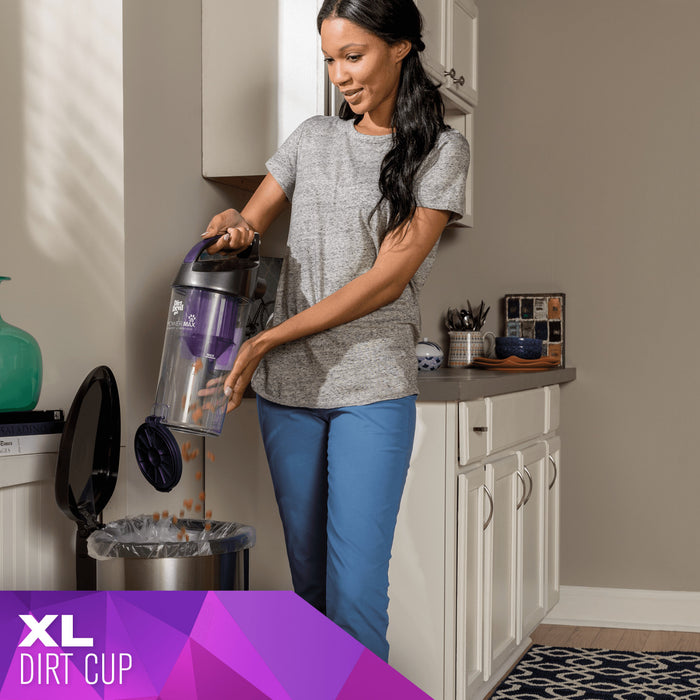 Dirt Devil Power Max Pet Upright Vacuum The Brick