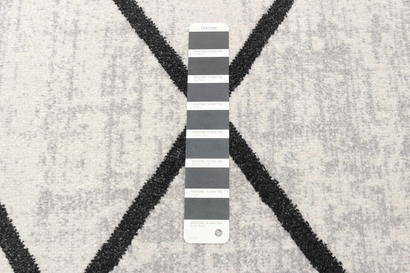 Damali Ivory/Black Machine Washable Area Rug - 8'0\" x 10'0\"