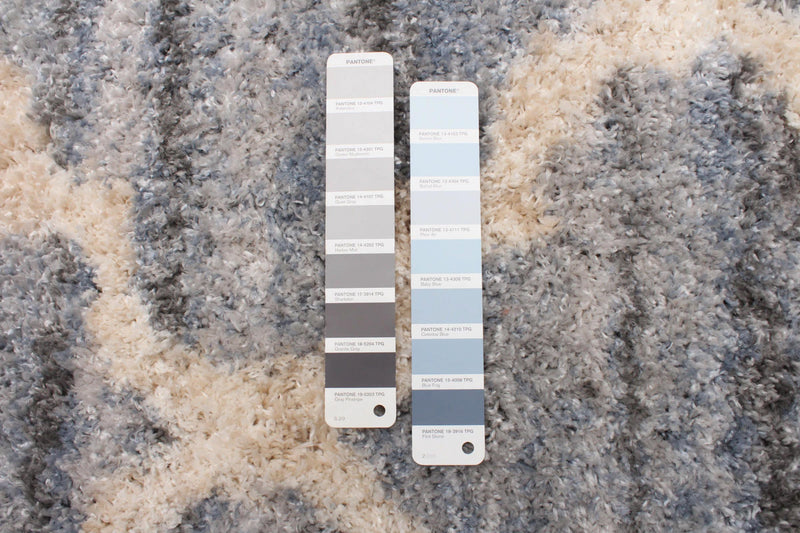 Dimity Grey/Light Blue Area Rug - 3'11\" x 5'7\"