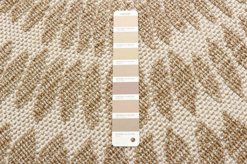 Blaine Taupe Area Rug - 6'3\" x 6'3\"