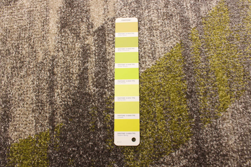 Korra Ivory / Green 7'10\" x 10'2\" Area Rug