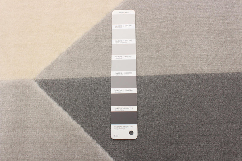 Zima Grey 4'7\" x 6'7\" Area Rug