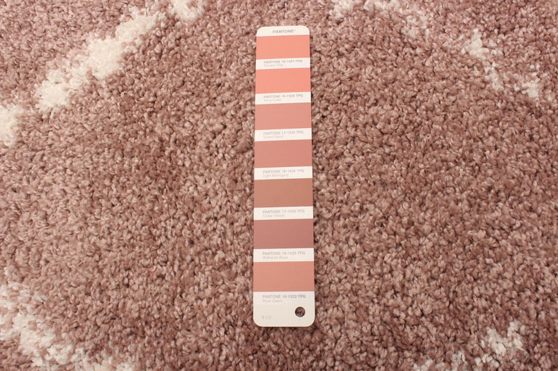 Serafina Pink Shag 3'11\" x 6'0\" Area Rug