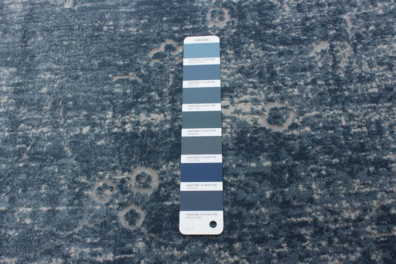 Dayna Blue Area Rug - 3'11\" X 5'11\" 
