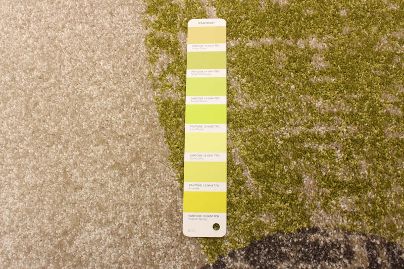 Ellegance Ivory / Green 7'10\" x 10'2\" Area Rug