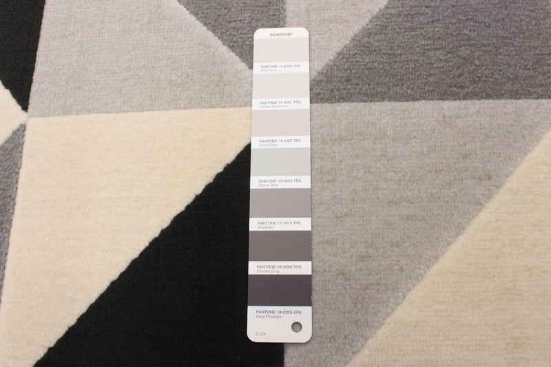 Nuria Black 5'3\" x 7'7\" Area Rug