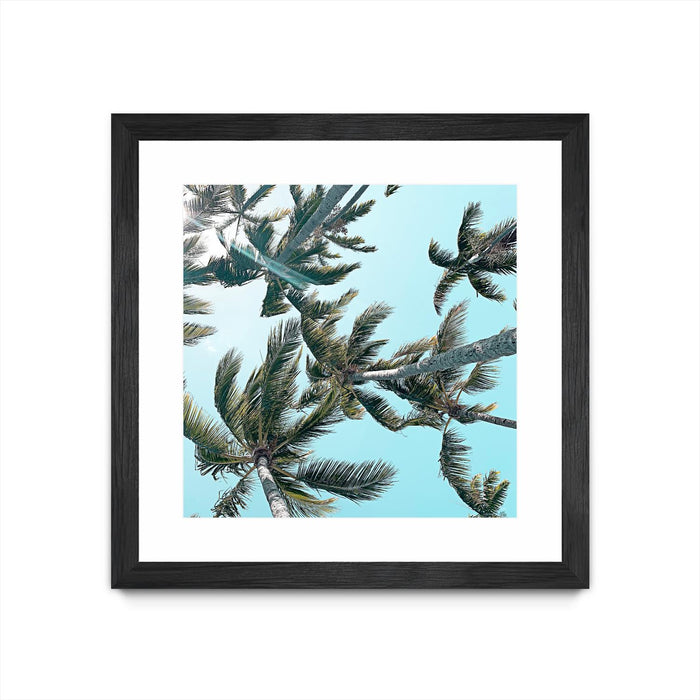 \"Palm 03\" Matted and Framed Black 30x30 Wall Art