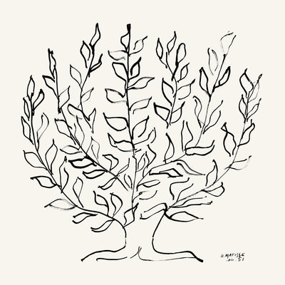 "L'arbre Platane" Giant Art 54x54 Wall Art