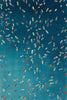 "A Summer To Gather" Giant Art 84x54 Wall Art
