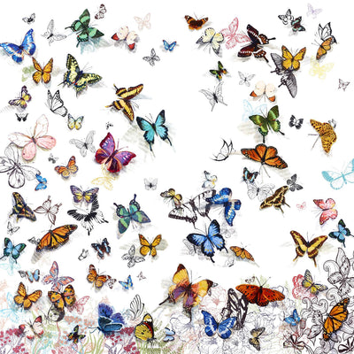 "Papillon" Giant Art 72x72 Wall Art