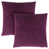 Purple Diamond Velvet 2pcs Pillow