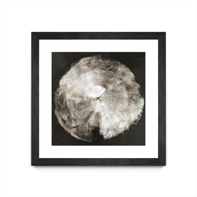 "Touch Of Darkened Silver" Matted and Framed Black 30x30 Wall Art
