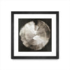 \"Touch Of Silver\" Matted and Framed Black 36x36 Wall Art